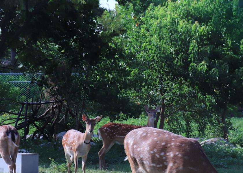 Changhua County Lukang Land View from Property