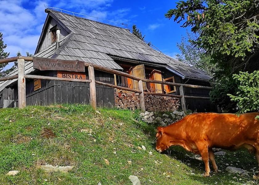  Kamnik Facade