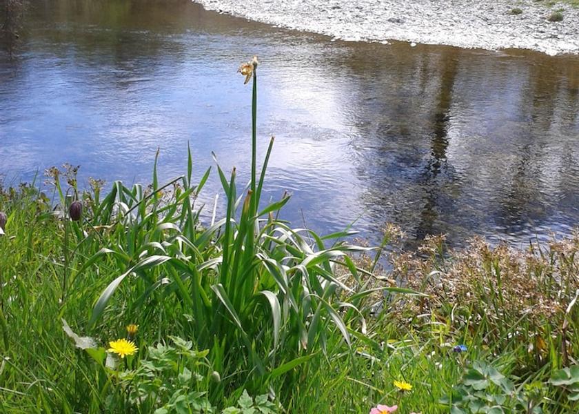 Wales Rhayader Exterior Detail