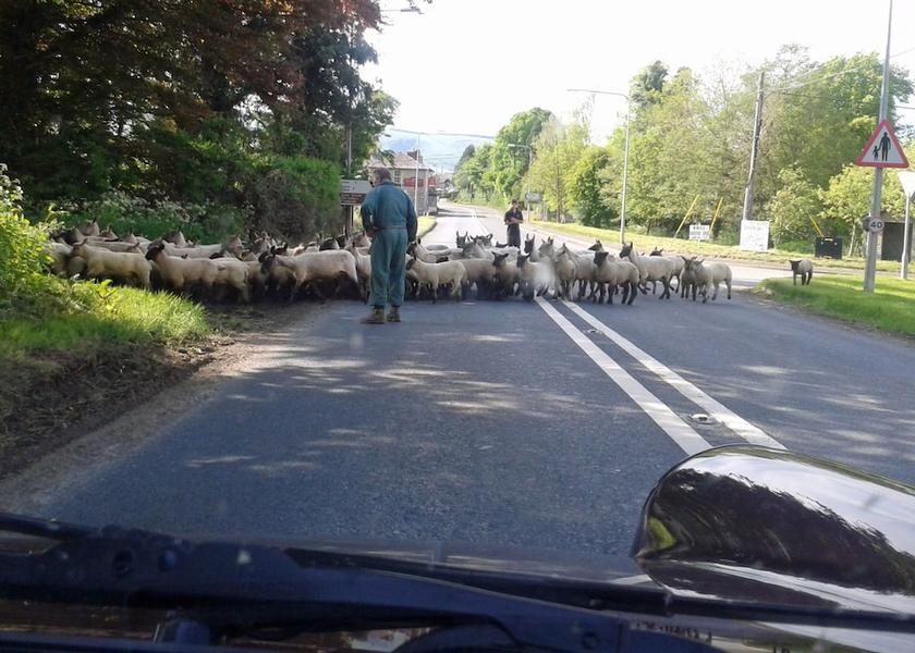 Wales Rhayader Exterior Detail
