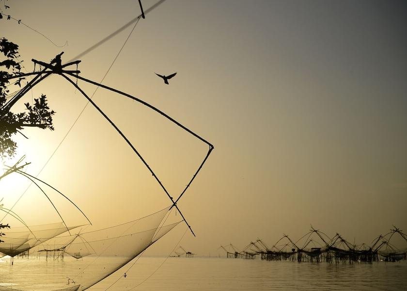 Land View from Property