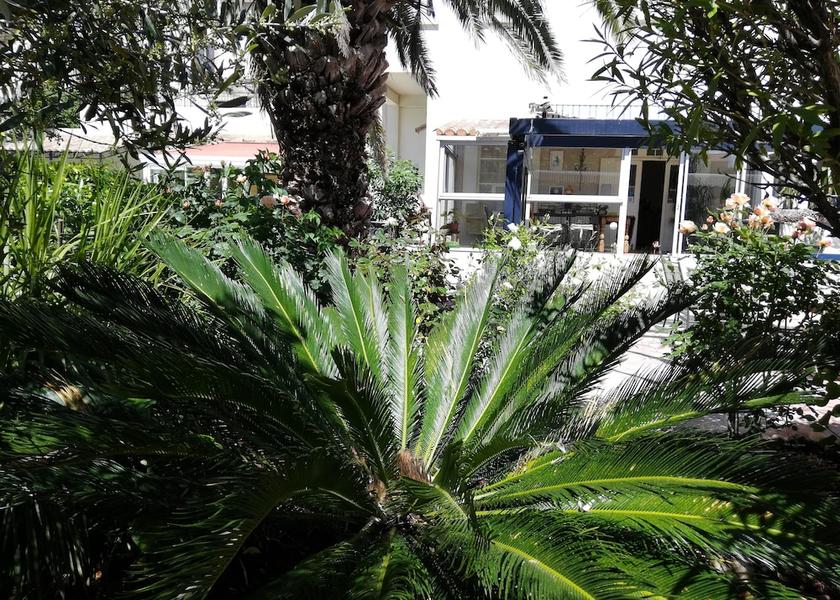 Occitanie Caunes-Minervois Exterior Detail