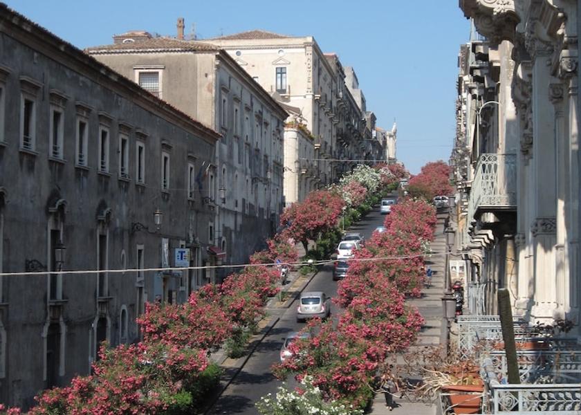 Sicily Catania Exterior Detail