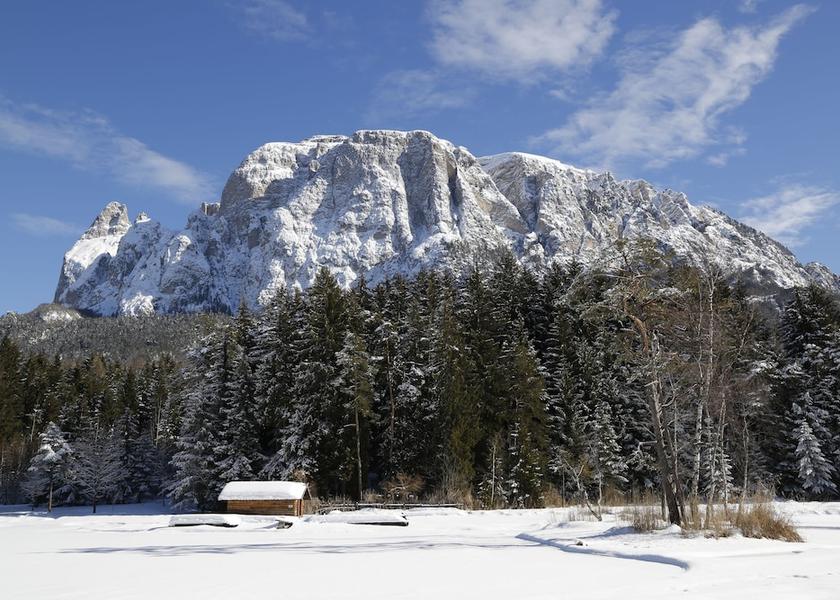 Trentino-Alto Adige Fie allo Sciliar View from property