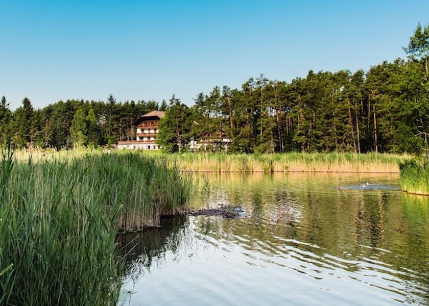 Trentino-Alto Adige Fie allo Sciliar Property grounds