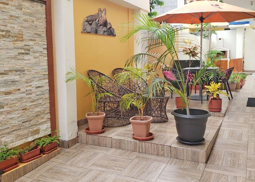 Galapagos Puerto Ayora Courtyard