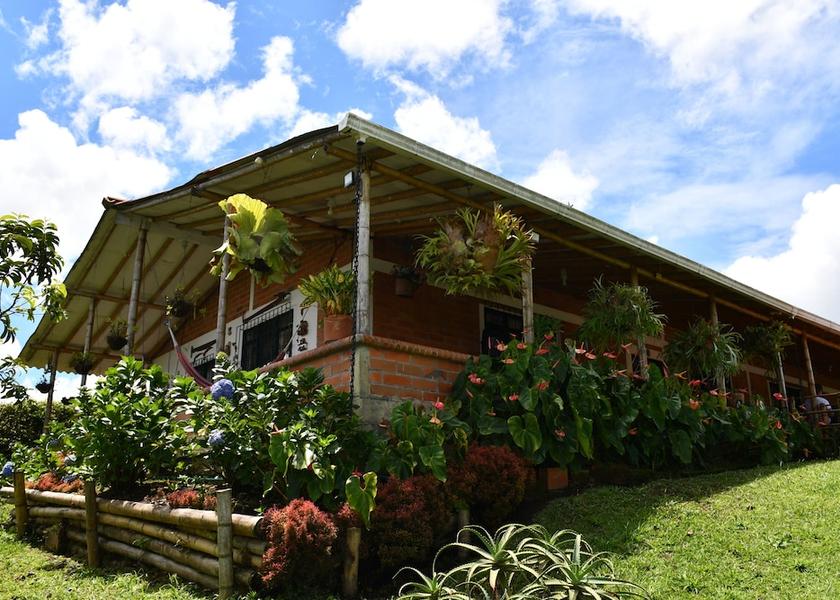 Risaralda Pereira Exterior Detail