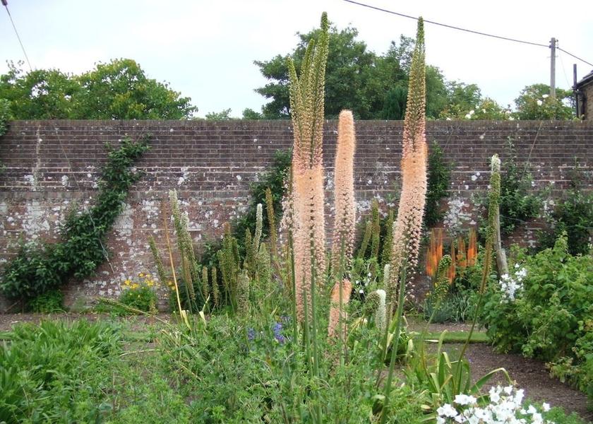 England East Grinstead Property Grounds