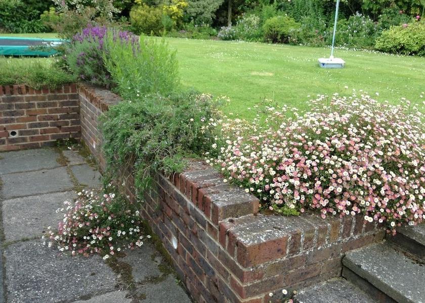 England East Grinstead Property Grounds