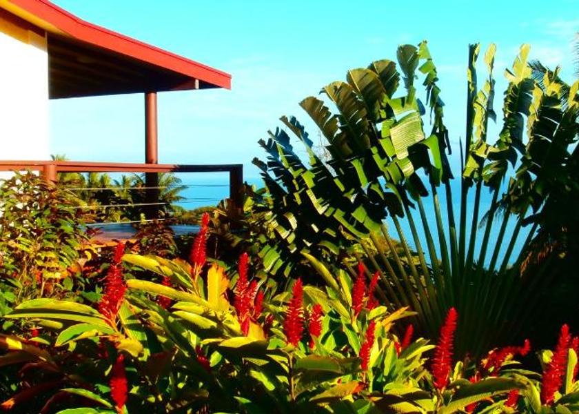 Northern Division Savusavu 