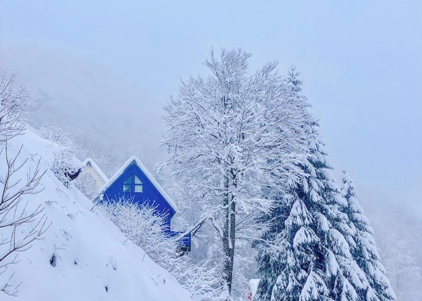 Nouvelle-Aquitaine Eaux-Bonnes Exterior Detail