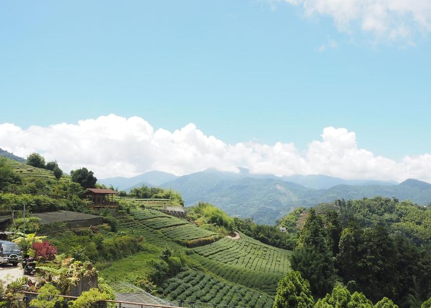 Chiayi County Zhuqi View from Property