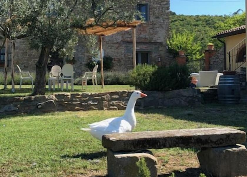 Tuscany Castiglion Fibocchi Exterior Detail