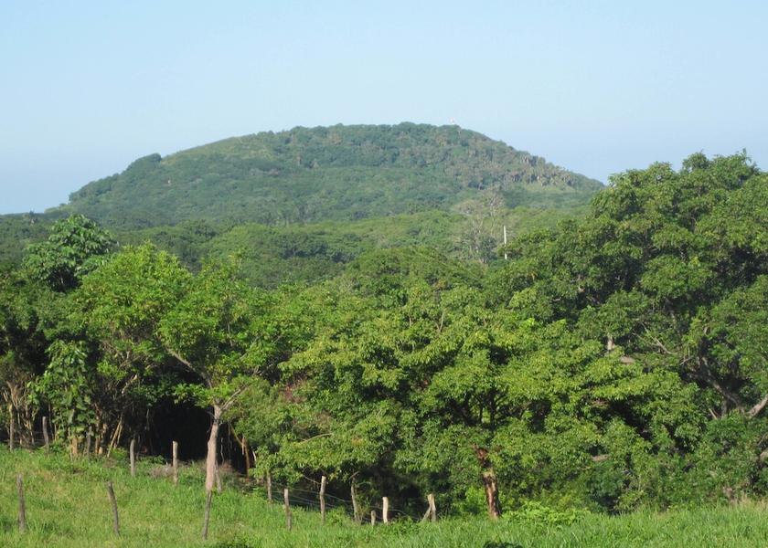 Islas de la Bahia Isla de Utila Exterior Detail
