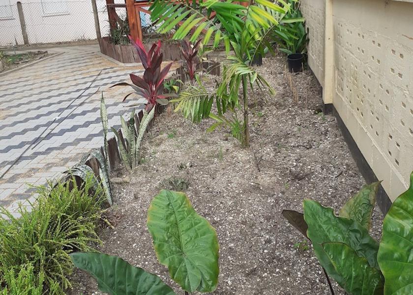  Paramaribo Exterior Detail