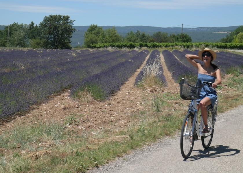 Provence-Alpes-Côte d'Azur Vaison-la-Romaine Hiking