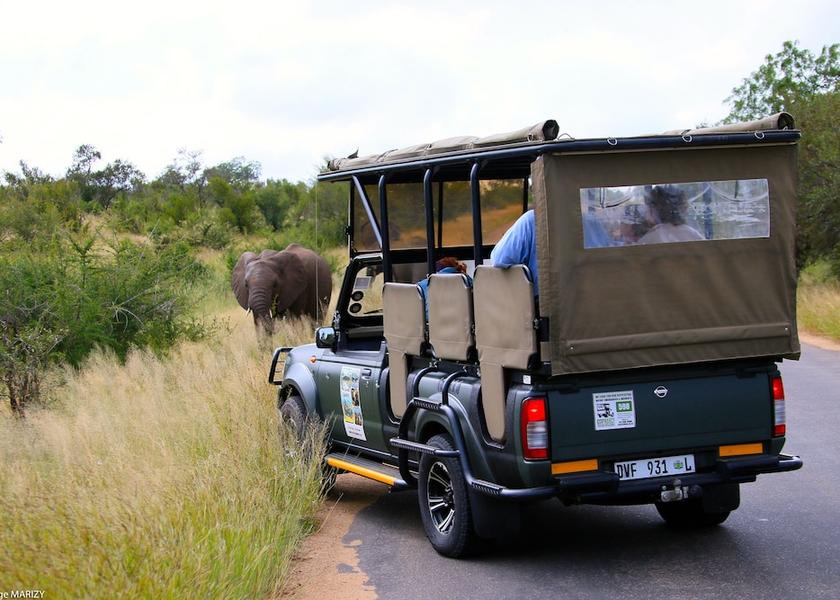 Limpopo Hoedspruit Safari and game