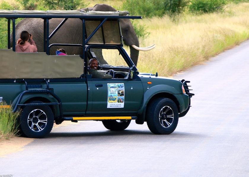 Limpopo Hoedspruit Safari and game