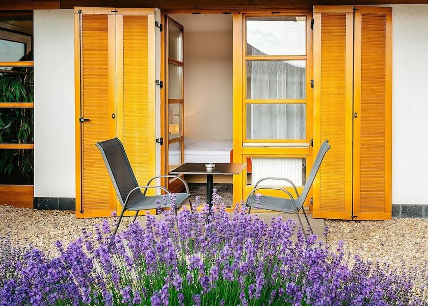 South Moravian (region) Brno Room