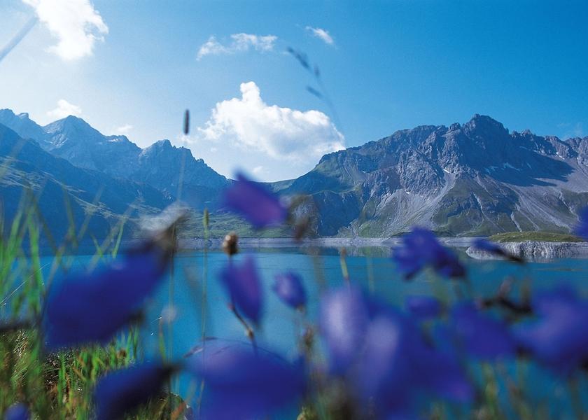 Vorarlberg Brand Land View from Property
