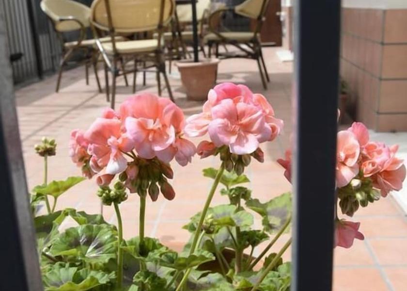 Sicily Mascali Exterior Detail