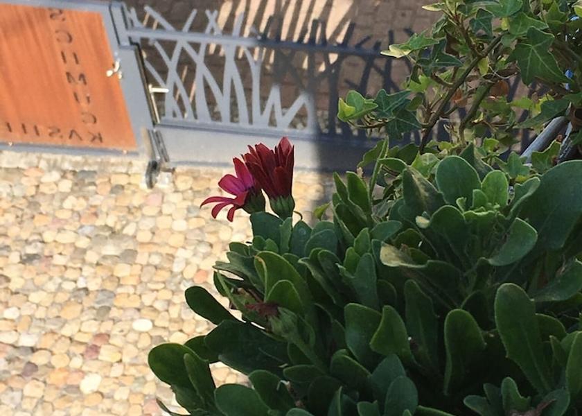 Hessen Wiesbaden Exterior Detail