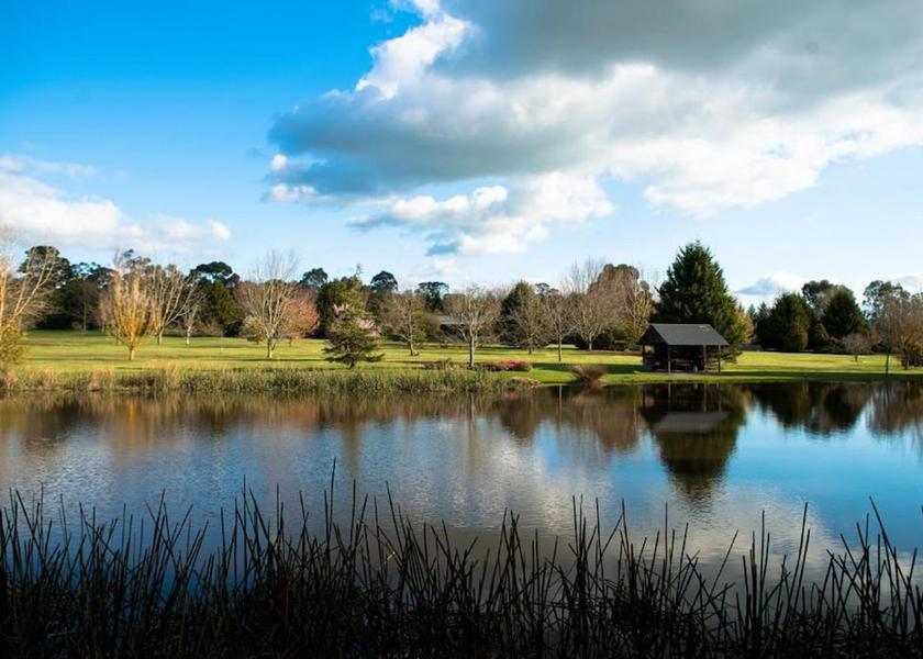 Victoria Badger Creek View from Property