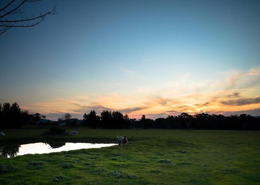 Victoria Badger Creek Land View from Property
