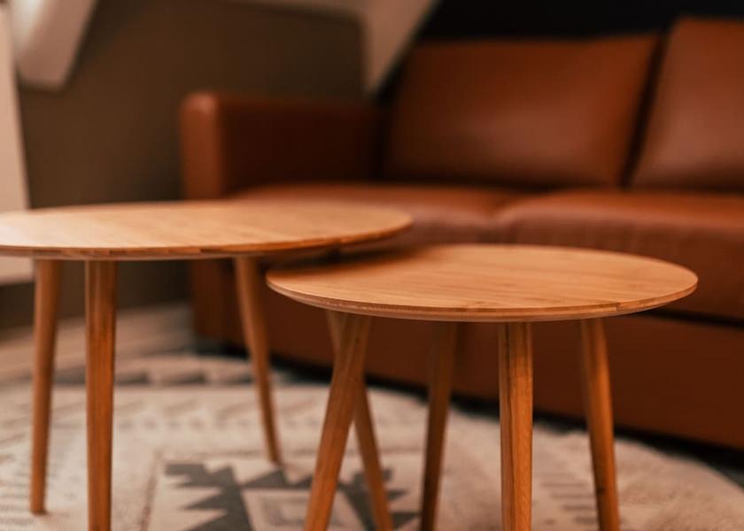 Saxony Leipzig Living Area