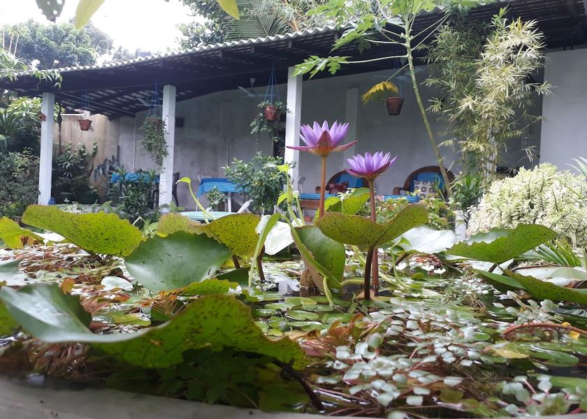 Southern Province Unawatuna Aerial View