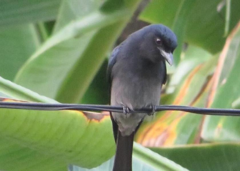 Southern Province Unawatuna Property Grounds