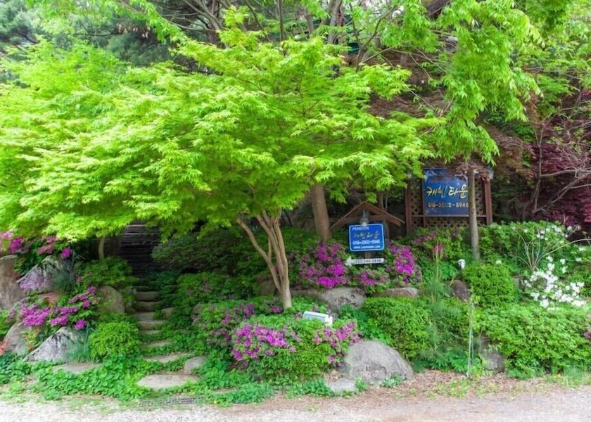 Gangwon Hoengseong Entrance