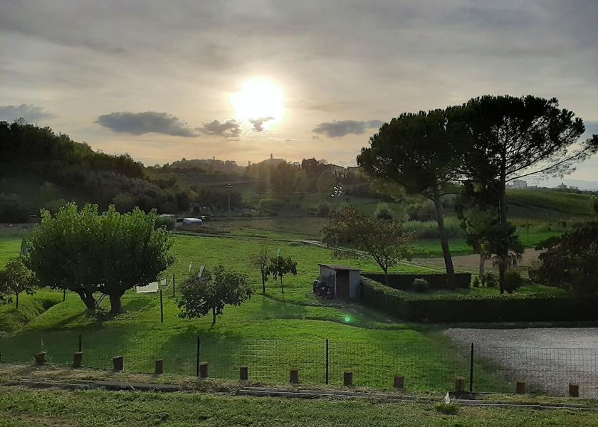 Tuscany San Miniato Garden