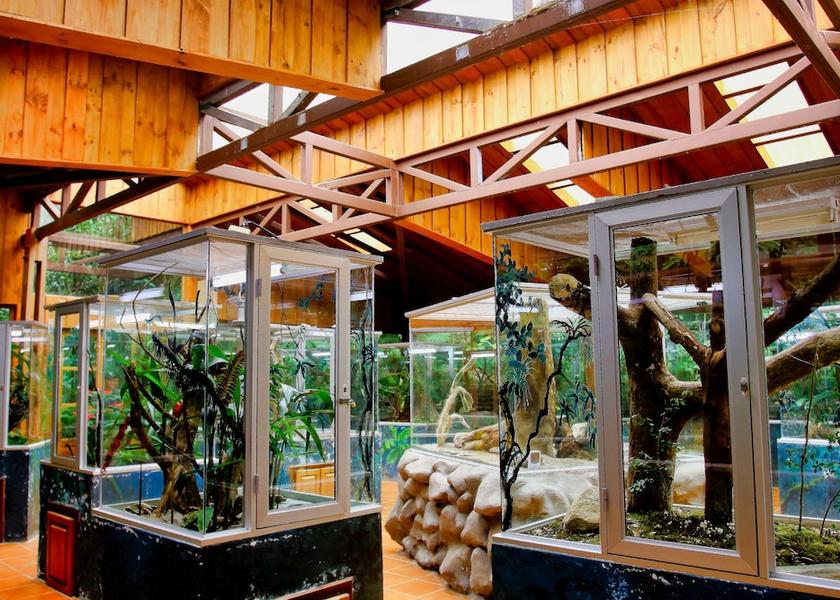 Puntarenas Monteverde Ecotours