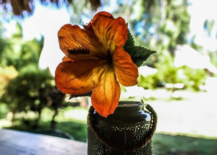 Chinandega (department) El Viejo Amenity