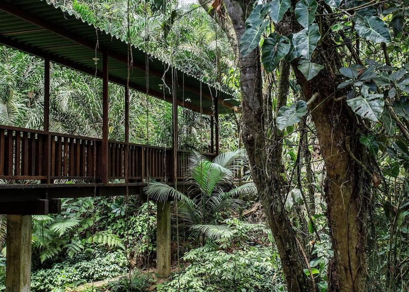 Sao Paulo (state) Guaruja Room