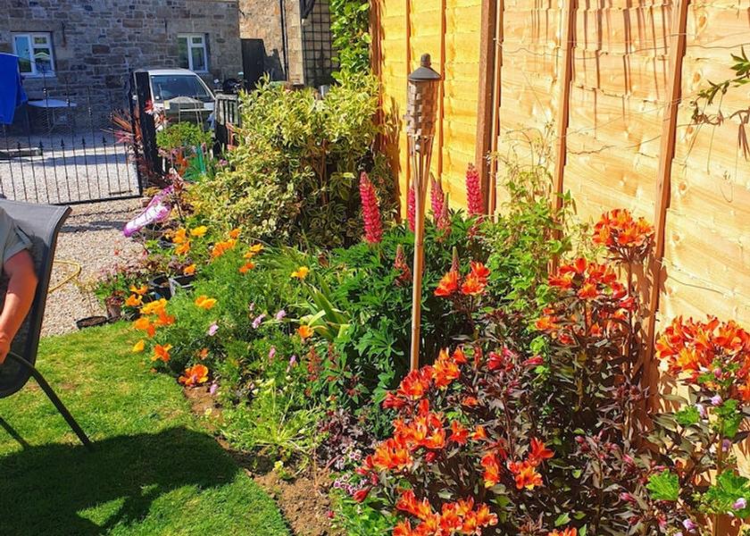 England Penzance Garden