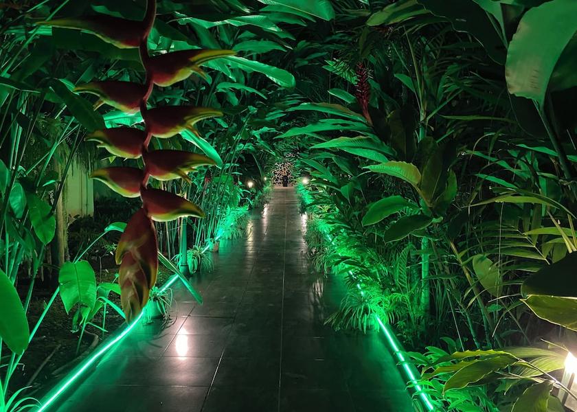 Esmeraldas Tonsupa Garden