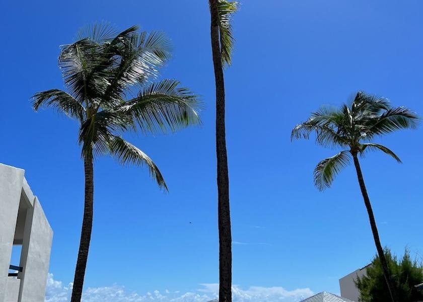  Inch Marlowe Exterior Detail