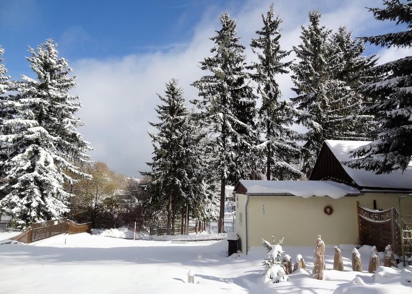 Saxony Oberwiesenthal Garden