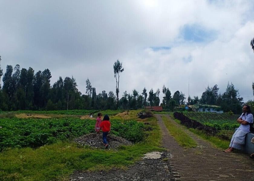 East Java Ngadisari Property Grounds