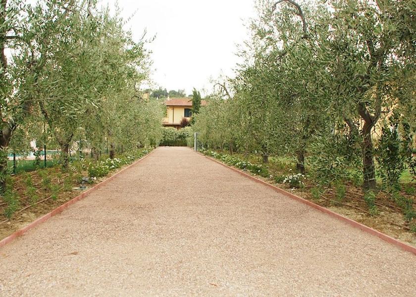 Tuscany Vinci Entrance