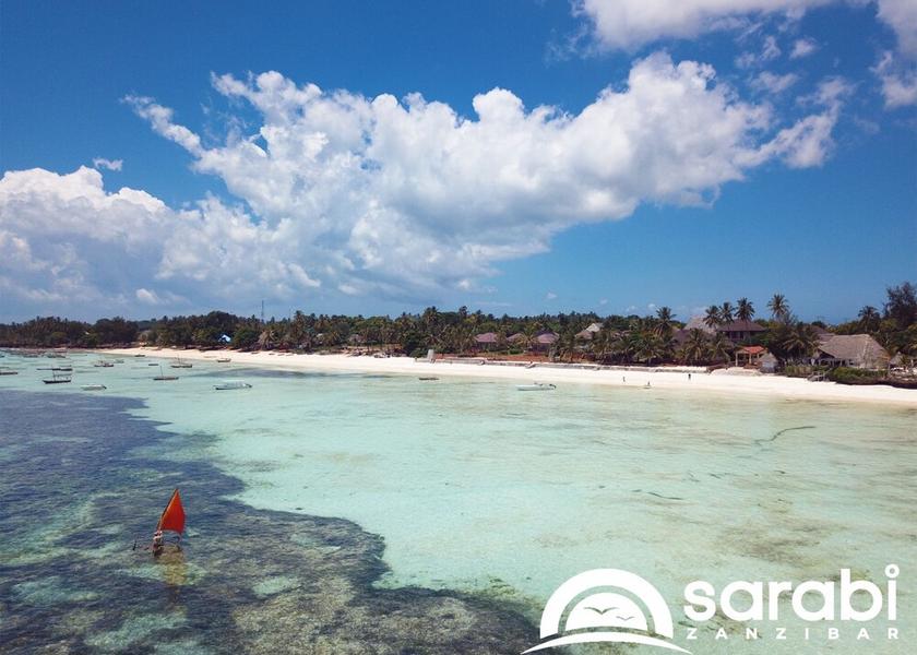 Unguja Kusini Region Kizimkazi View from Property
