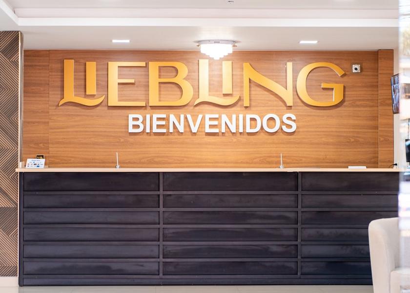  Ciudad Del Este Reception