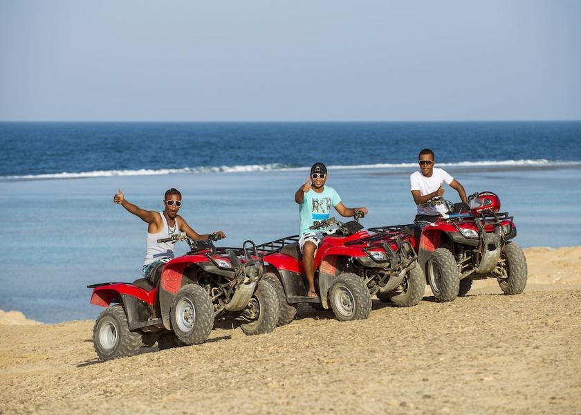 Red Sea Governorate Marsa Alam Game viewing