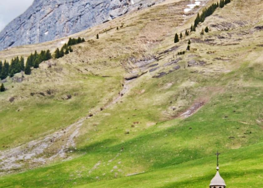 Auvergne-Rhone-Alpes La Clusaz Exterior Detail