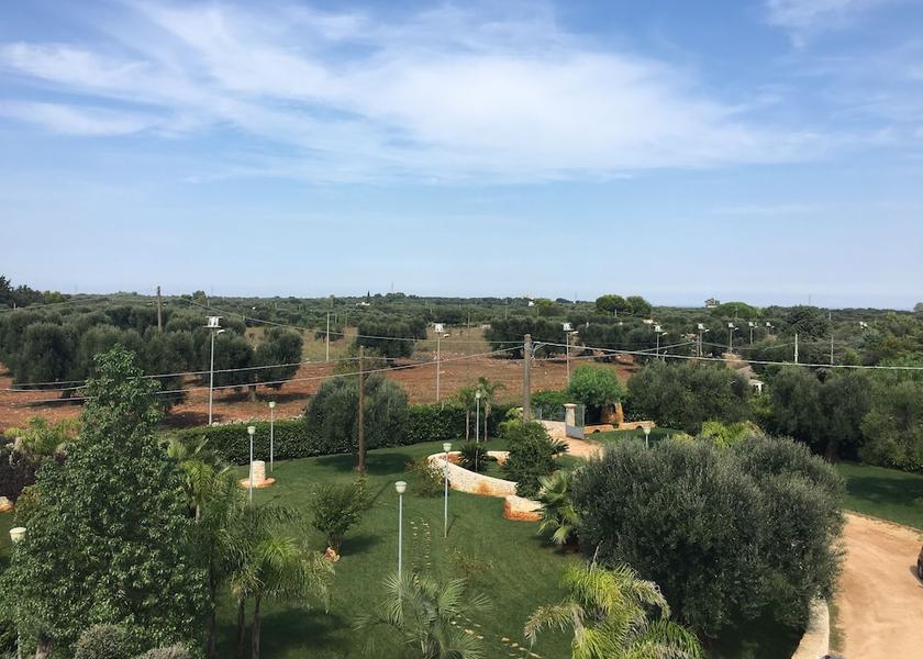 Puglia San Vito dei Normanni Land View from Property