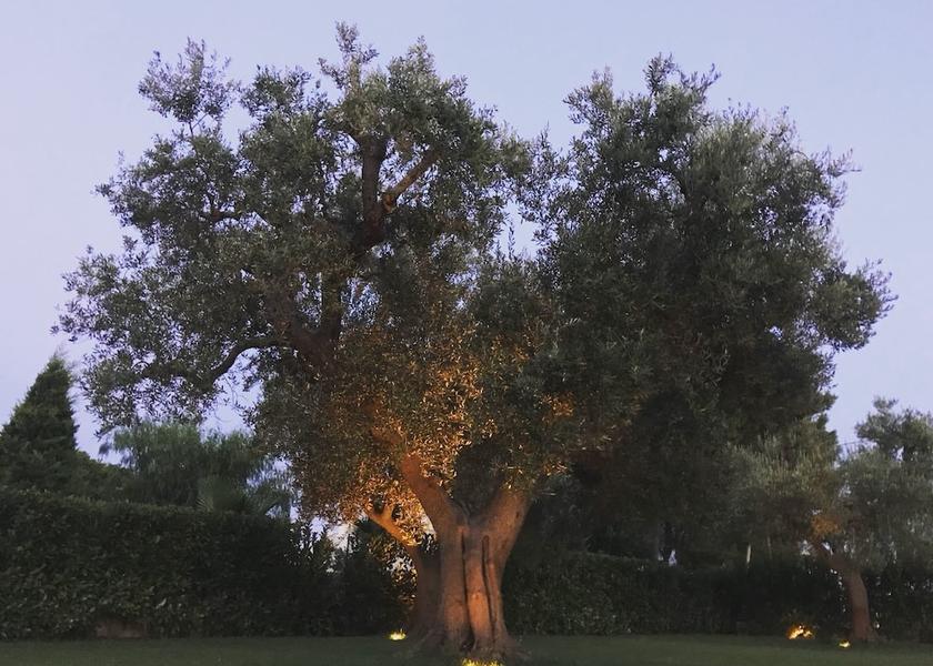 Puglia San Vito dei Normanni Property Grounds