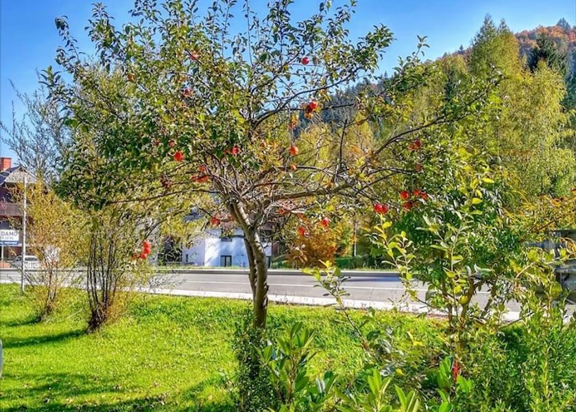  Kranjska Gora Garden