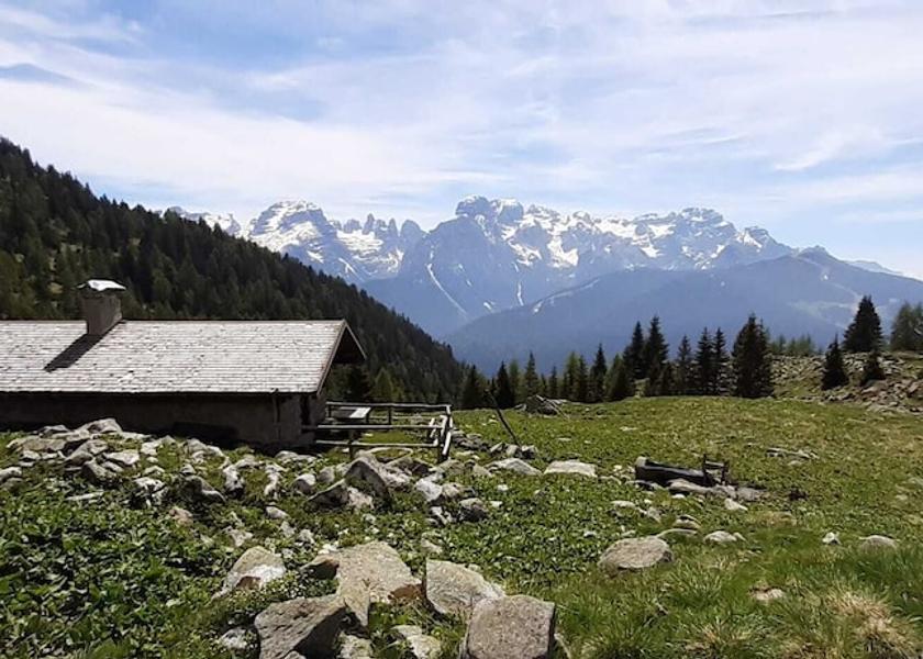 Trentino-Alto Adige Pinzolo Hiking